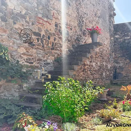 L'hirondelle Des Sarments *